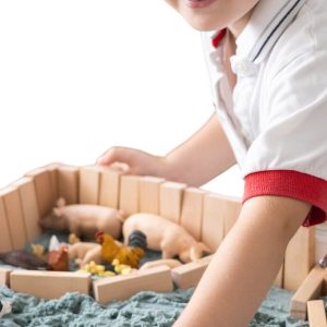 Animal toys